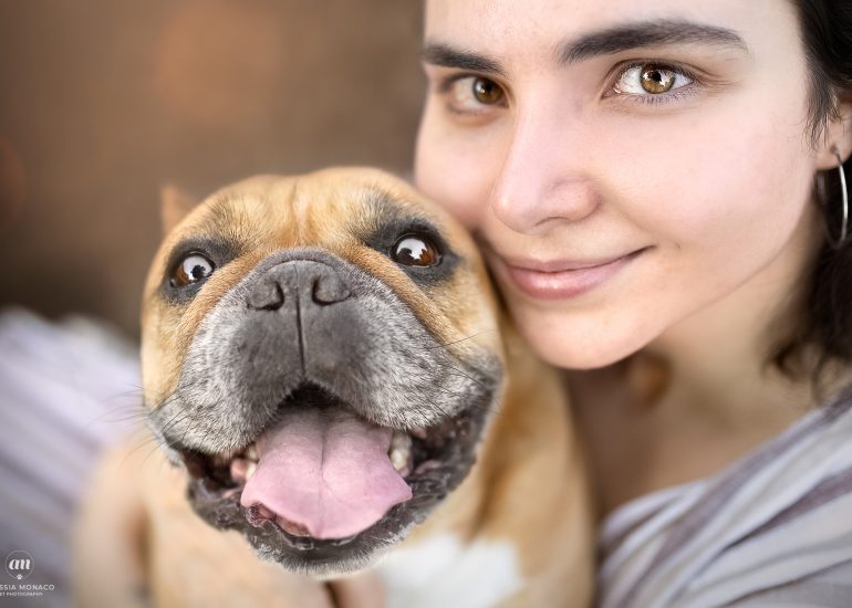Bulldog francese Varese