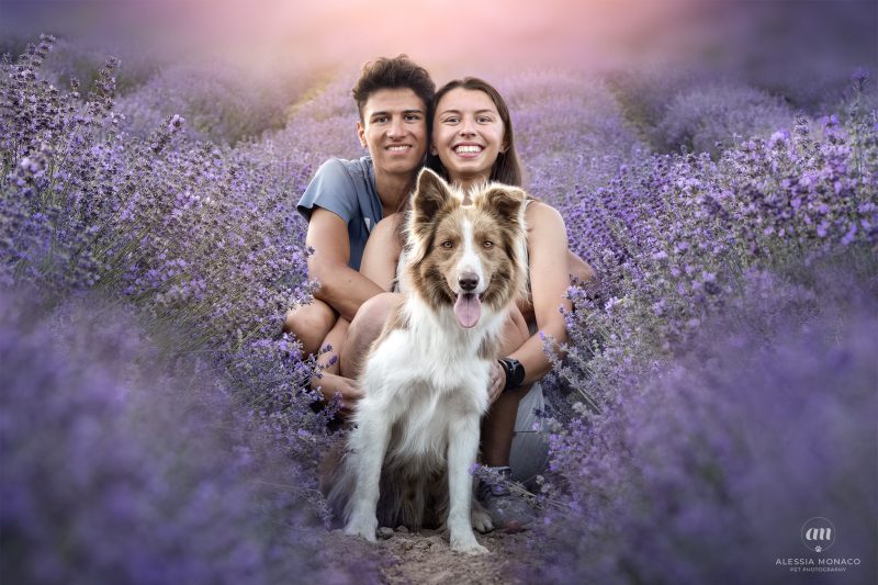 Lavanda di Sale San Giovanni