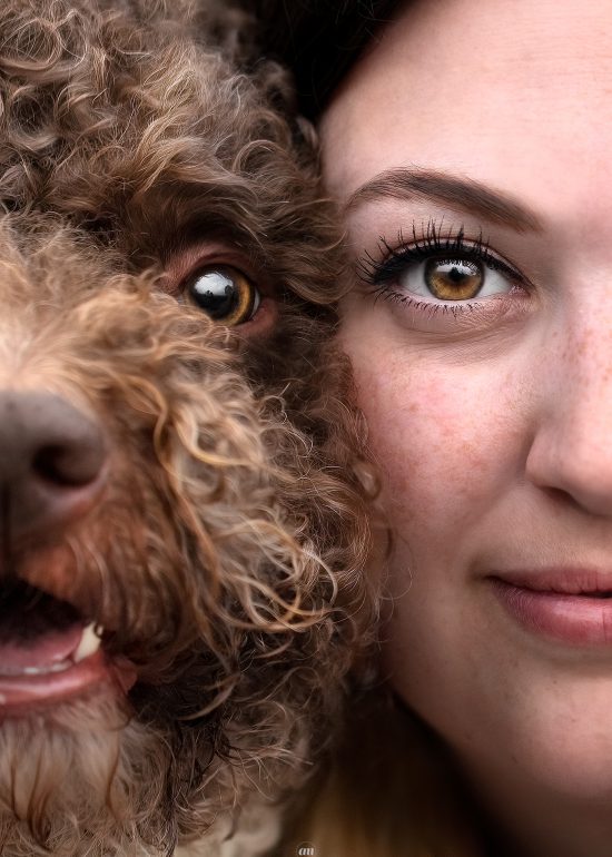 foto lagotto italiano