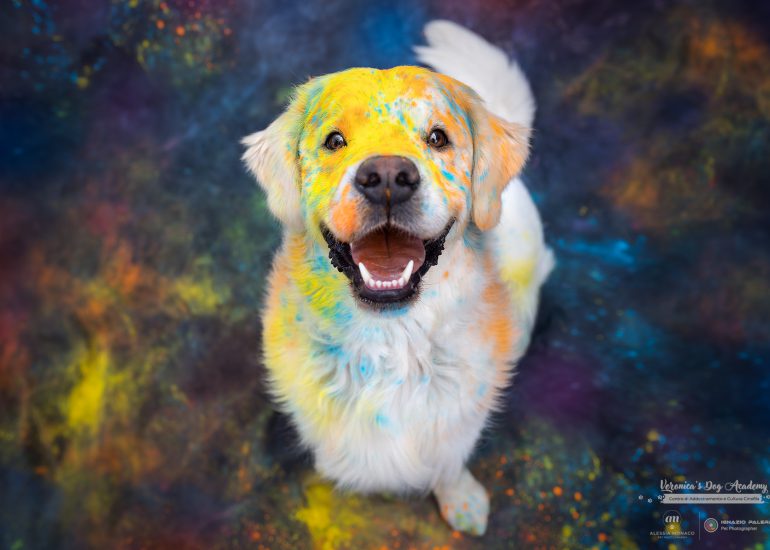 cani holi milano