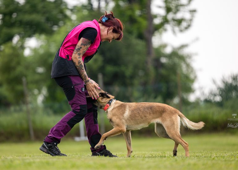 gara obedience cani varese