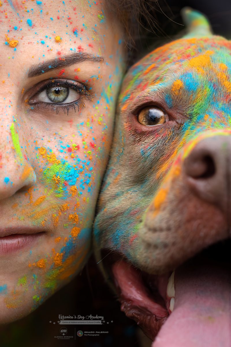 polveri holi cane padrone