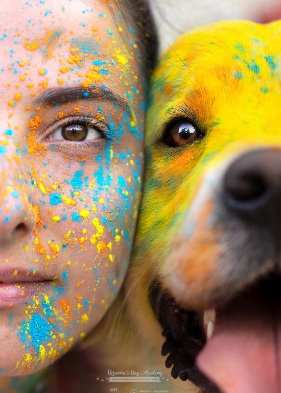 polveri holi milano