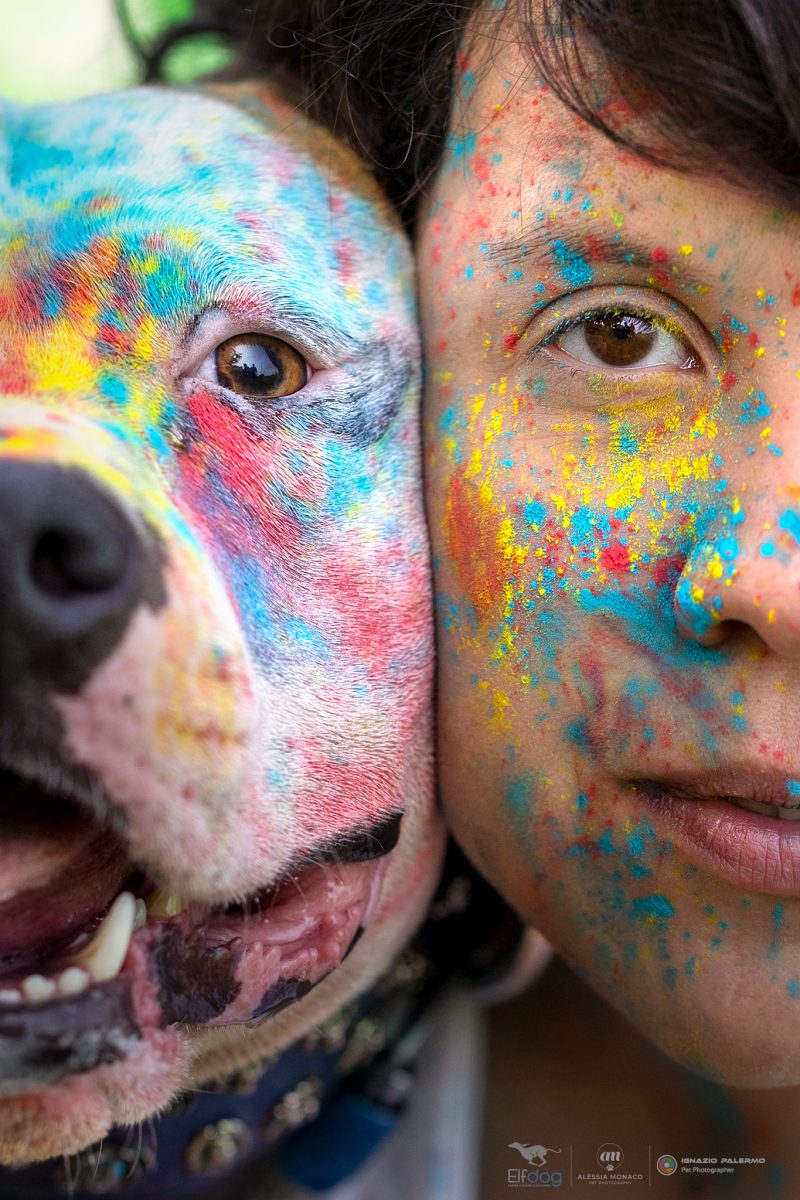 polveri holi vicenza elfdog