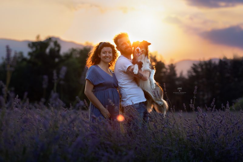servizi fotografici famiglia lavanda