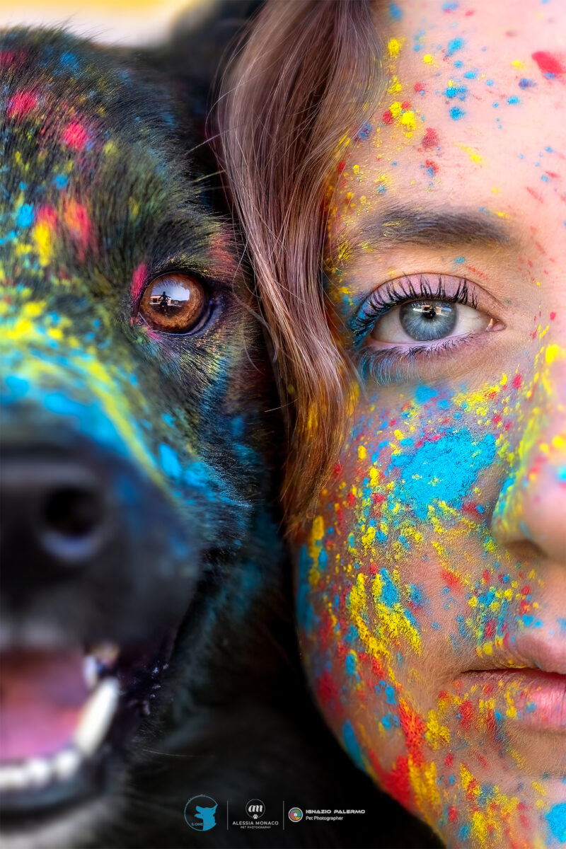 il cane utile holi