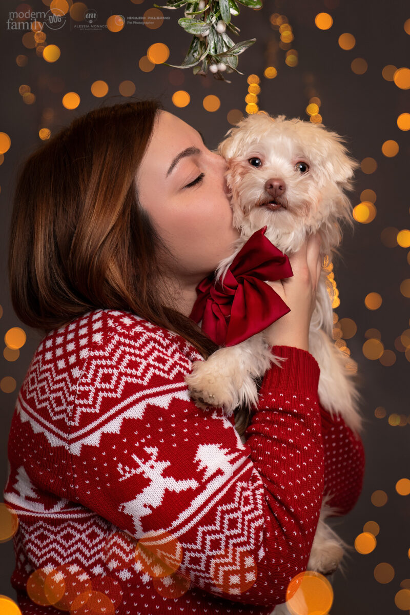 shooting natale cani monza brianza